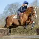 LeMieux Carbon XC voorbeengamaschen